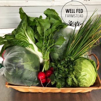Weekly Seasonal Produce Bag | Well Fed Farmstead  | Fort Collins, CO