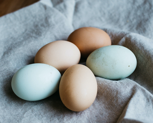 Local Pasture-Raised Eggs Subscription